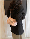 Four Seasons Commuting Trendy Daily Matching Shoulder Crossbody Women's Bag Bow